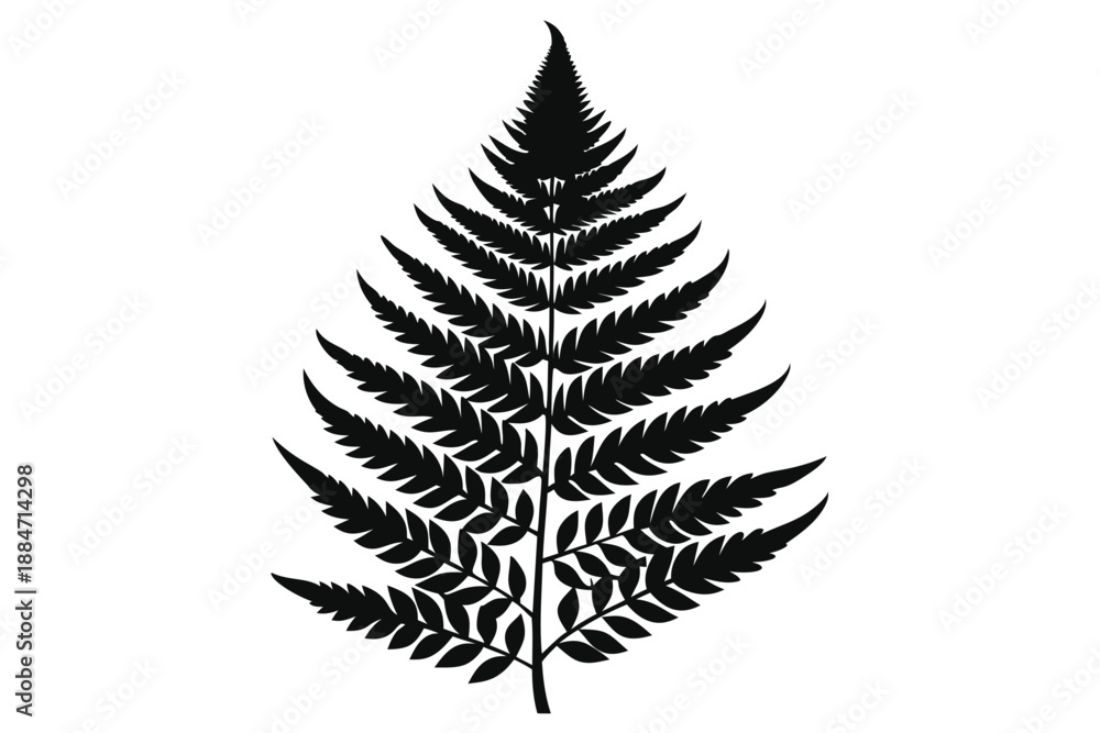 Obraz premium fern leaf silhouette line art vector illustration with a white background
