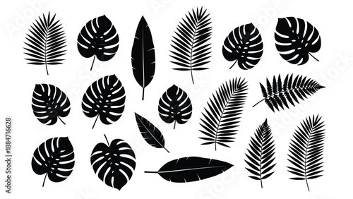 Vector Illustration of Various Tropical Leaves on White Background
