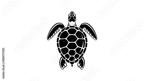 A black and white stylized illustration of a sea turtle with a detailed patterned shell