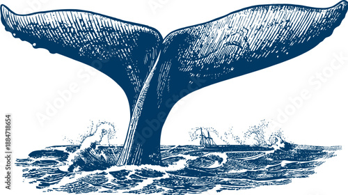 A detailed blue illustration of a whale's tail emerging from the ocean, waves. A small ship