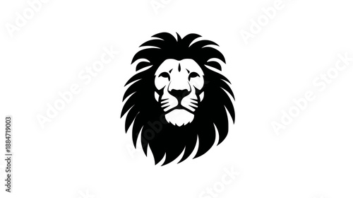 A striking black and white portrait of a lion's head, conveying strength and majesty