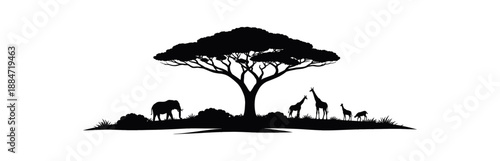 Flat vector illustration of savanna silhouette with acacia tree and distant animals as tiny shapes isolated on pure white slightly style high quality no texture no grain