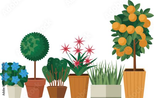 potted plants, Variety of potted plants, including flowers, herbs, and fruit trees