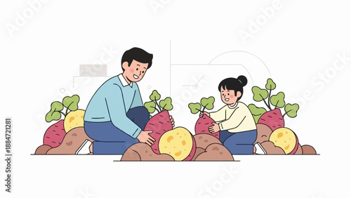 Father and daughter harvest sweet potatoes from the garden