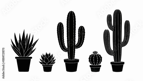 Five potted plants including cacti and succulents displayed on a white background
