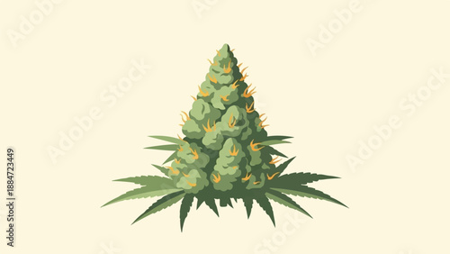 Green cannabis bud with pistils, surrounded by leaves