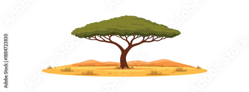 Flat vector illustration of single savanna horizon with one acacia tree isolated on pure white slightly style high quality no texture no grain