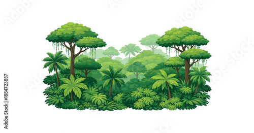 Flat vector illustration of single rainforest canopy with layered treetops isolated on pure white slightly style high quality no texture no grain