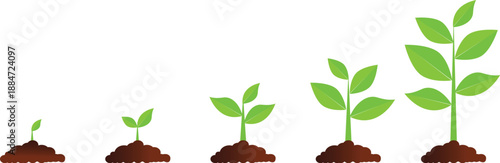 Leaf icons set. Green leaves vector collection. Ecology, environment, and nature symbol. Bio, organic, and vegan sign. Plant sprout logo element for eco friendly products.