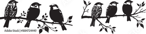 Sparrows perched on branches, set of bird illustrations, black and white vector art