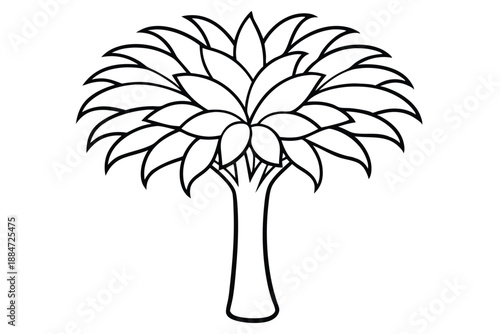 date tree silhouette line art vector illustration with a white background