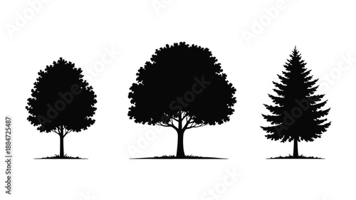Black tree silhouettes vector set isolated on white background, forest plants and nature landscape elements