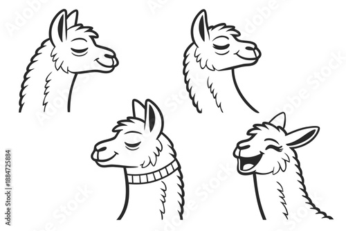 Placeholder image display