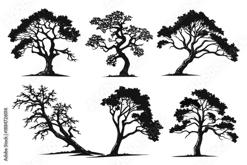 Placeholder image representation