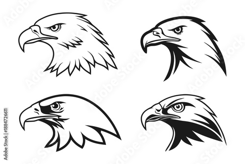 Placeholder image for vector file