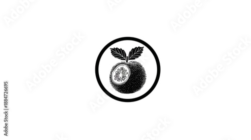 A black and white illustration of a fruit, sliced to show the inside, in a circular frame with leaves
