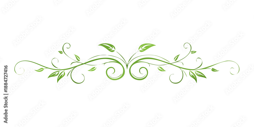 Obraz premium Soft Green Botanical Decorative Divider Line