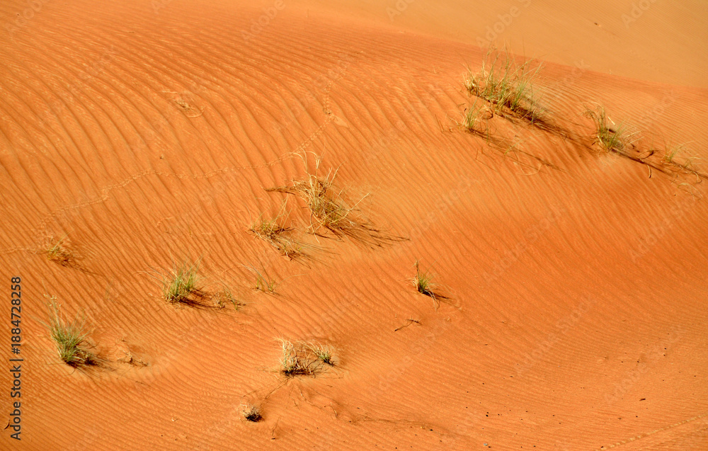 Obraz premium Dunas de arena en el desierto de Dubai, Emiratos Arabes Unidos