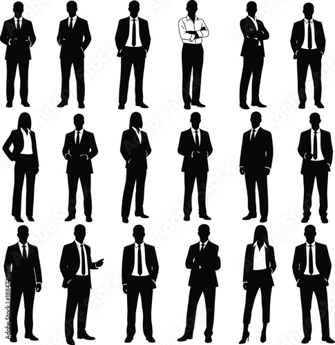 Diverse business professionals in various poses and attire standing confidently in a grid layout