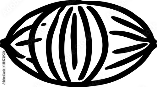 Bold, abstract illustration of an oval shape, featuring internal vertical lines and radiating strokes