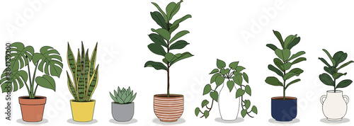 Minimalist Vector Illustration of Popular Indoor Houseplants Including Monstera Deliciosa Snake Plant Succulent Fiddle Leaf Fig and Pothos Isolated on a White Background