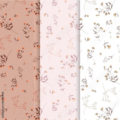 Dry_flowers_plants_set.eps