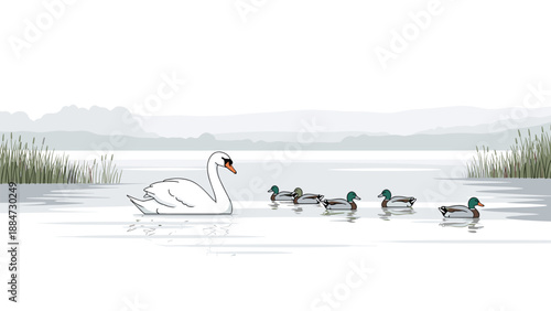 A serene natural landscape depicting a graceful white swan swimming peacefully on a calm lake, followed by five adorable ducklings, against a tranquil grey background.