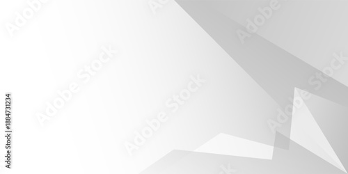 White and gray triangle abstract geometric background. texture white pattern. vector design	