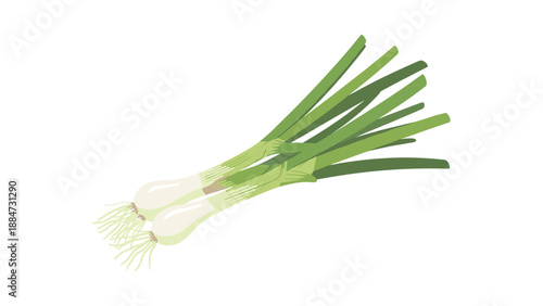 Two fresh and vibrant green onions, also known as scallions, with their distinct white bulbs and long green stalks, are elegantly arranged on a white background.