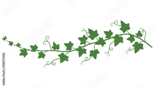 A sprawling green vine, intricately adorned with ivy-like leaves and curly tendrils, gracefully extends horizontally, perfect for organic borders or natural embellishment.