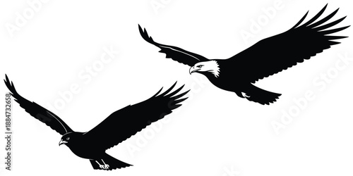 Two bald eagles in flight silhouette