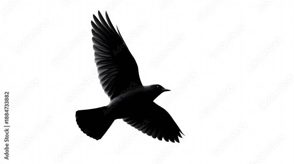 Obraz premium Soaring Silhouette: A majestic bird soars effortlessly, its dark silhouette a symbol of freedom, against the empty sky, evoking a sense of grace and aspiration.
