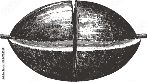 A black and white illustration of a cut, symmetrical object with a linear texture