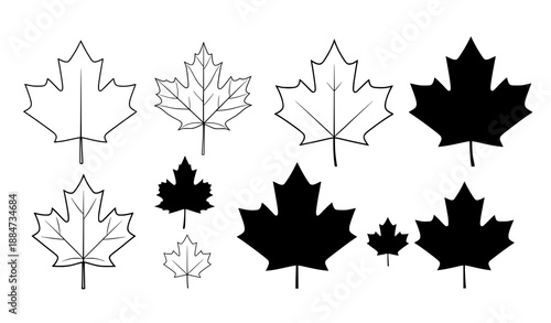 Minimalist black maple leaf vector set isolated on white