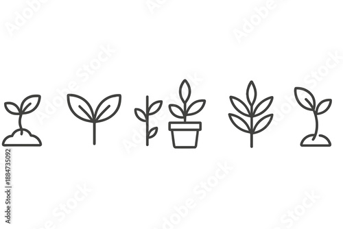 Botanical Line Icons. Line style icons of Plant: sprouting seedling, leaf pair, small stem, potted plant, branching leaf, young