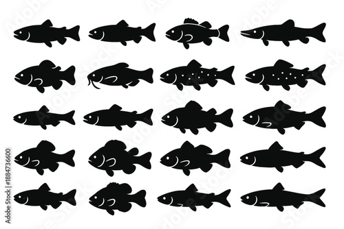 Freshwater Fish Icons. Solid style icons of Freshwater Fish: trout, salmon, perch, pike, bass, catfish, carp, sturgeon, minnow,