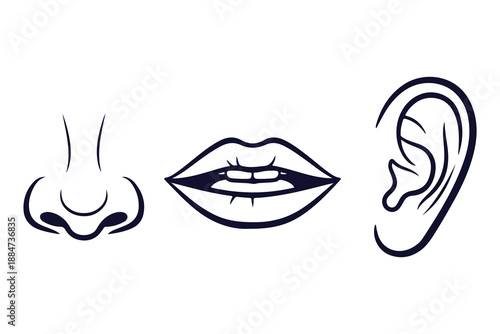 Human Body Parts And Senses Icons Nose, Mouth, And Ear Vector Line Art Set
