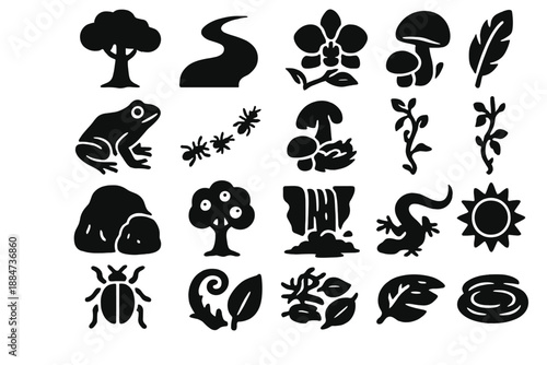 Jungle Ecosystem Icons. Solid style icons of Jungle Ecosystem: tree canopy, river bend, orchid vine, parrot feather, tropical frog