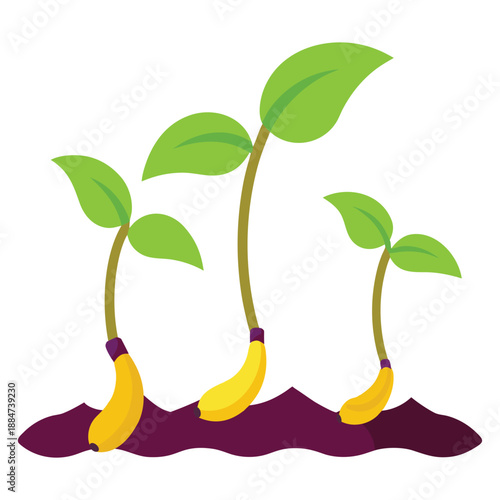 Innovative vector illustration of the future of banana seedling production