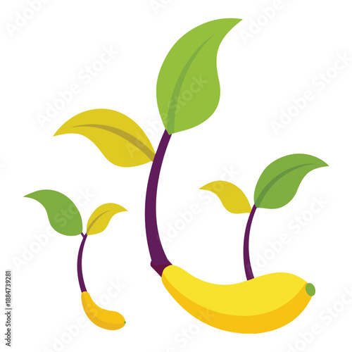 Innovative vector illustration of the future of banana seedling production