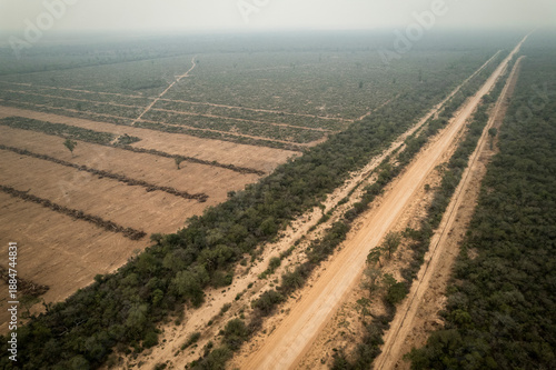 Fotografie Native forest cleared along a roadside in Formosa, Argentina, showing deforestation, habitat loss, and human impact on the Chaco ecosystem, highlighting environmental degradation and land use change