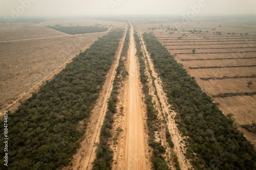 Tableau sur toile Native forest cleared along a roadside in Formosa, Argentina, showing deforestation, habitat loss, and human impact on the Chaco ecosystem, highlighting environmental degradation and land use change