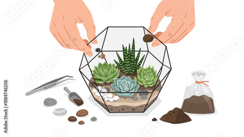 Hands carefully arranging succulents and decorative stones in a geometric glass terrarium, demonstrating the art of crafting a beautiful indoor garden.