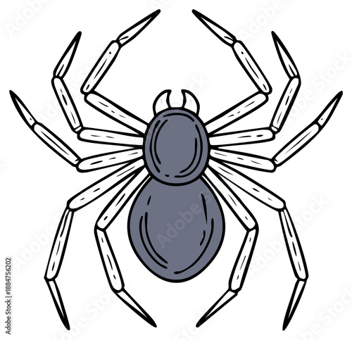 Stylized top down illustration of a creepy grey spider with bold black outlines