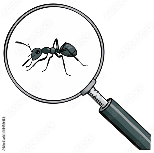 Magnifying glass looking at a black ant illustration for entomology pest control and science concepts