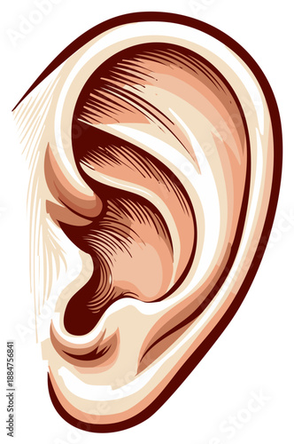 Vintage Style Illustration of Human Ear Anatomical Feature in Beige and Brown Tones