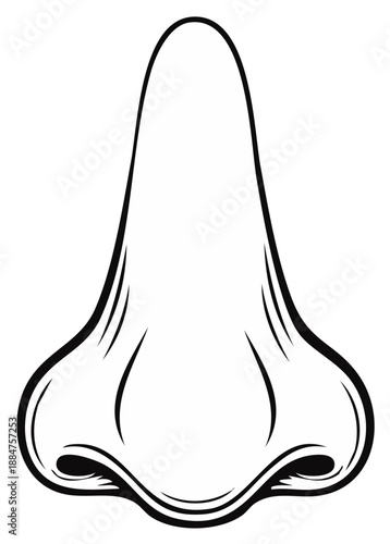 Contoured Human Nose Anatomical Illustration Nasal Passage Black and White Human Body Part Cartoon Drawing