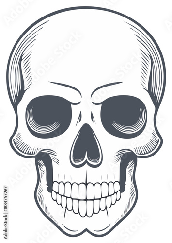 Stylized human skull illustration with detailed shading and line art, facing forward, conveying a sense of mortality and anatomy.