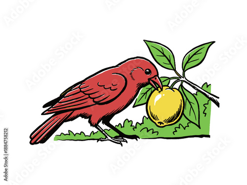 Retro illustration of a red bird feeding on a yellow fruit, isolated graphic design. Cute wildlife mascot for t shirt print, poster, sticker.
