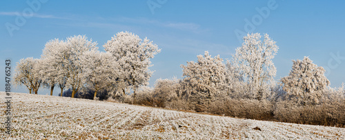 Panorama einer Hecke im Winter mit Rauhreif auf den Bäumen